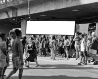 Ponto nº 22ZV